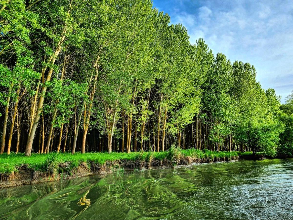 5 Chirpici - Small Traditional Resort Murighiol Ngoại thất bức ảnh